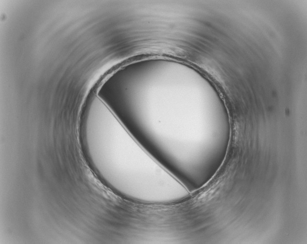 X0000089921020200706290749