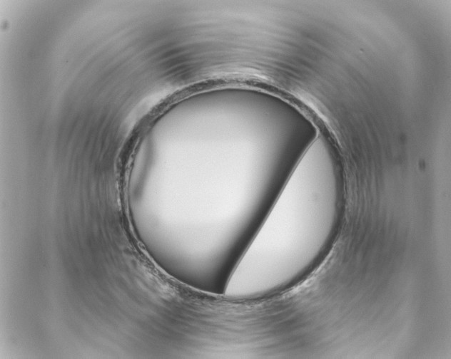 X0000089921022200706290749