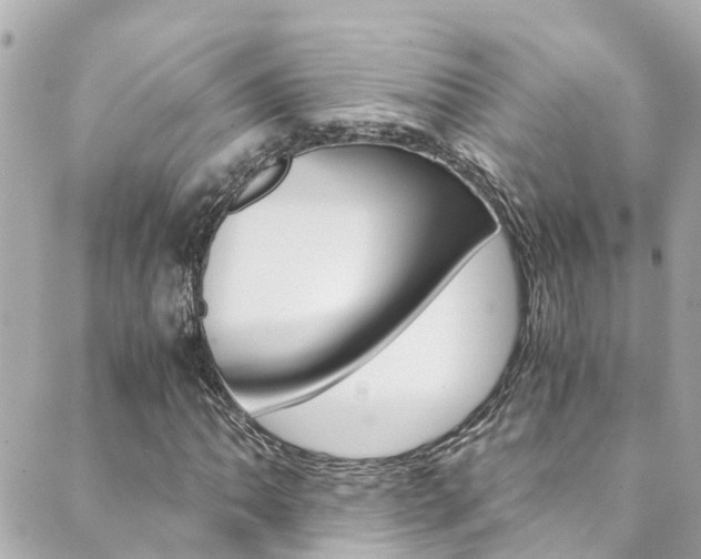 X0000089921062200706290748