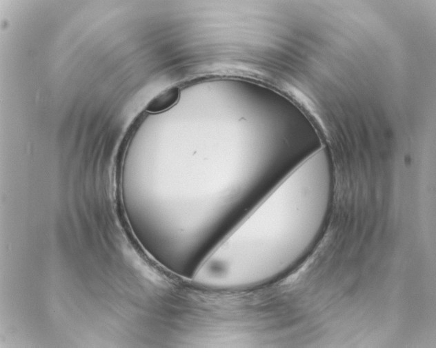 X0000089921082200706290748