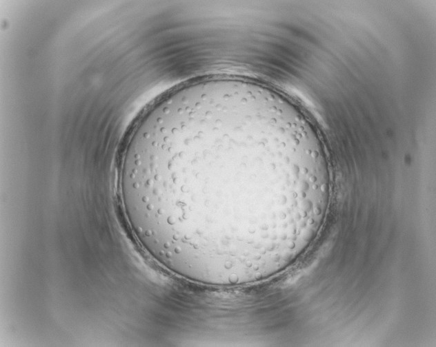 X0000089921125200706290747