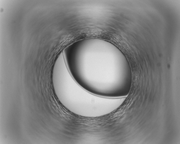 X0000089921153200706290747
