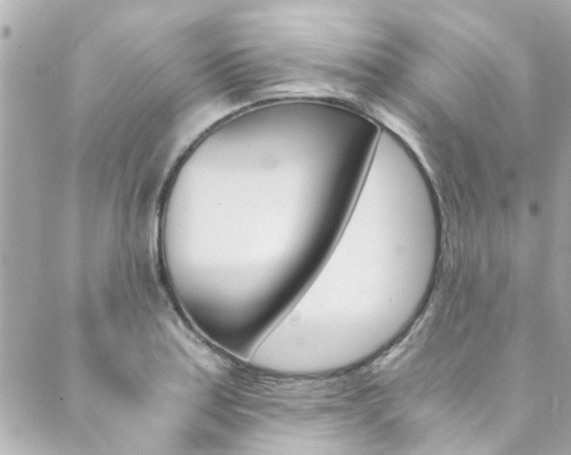X0000089921179200706290747