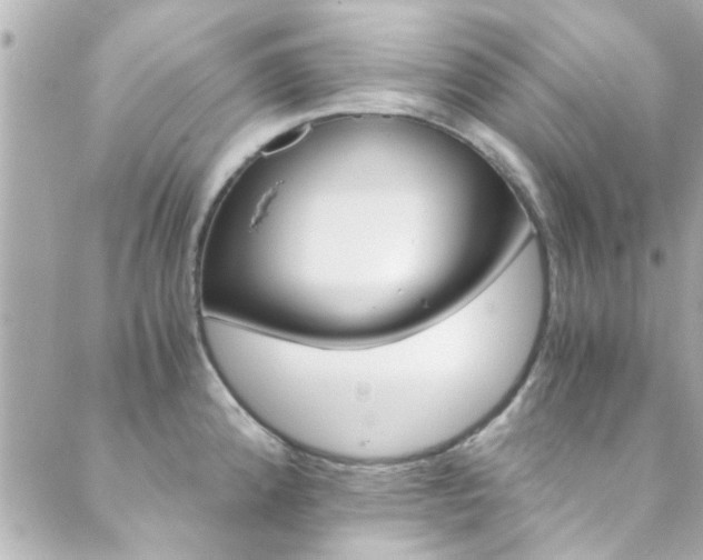 X0000089921192200706290746