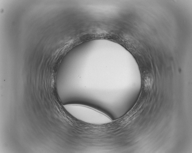 X0000089921204200706290746