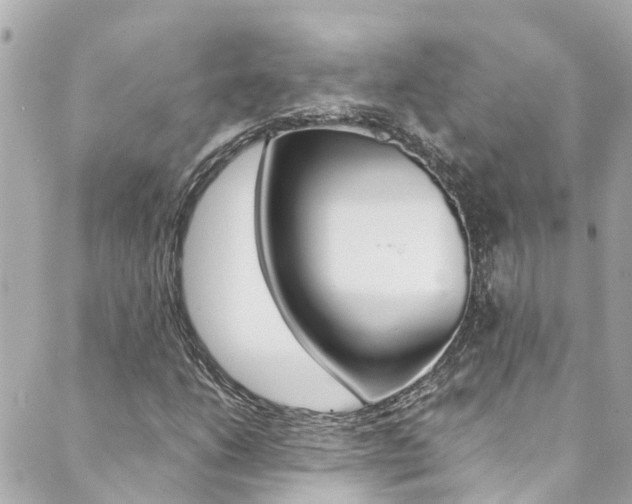 X0000089921206200706290746