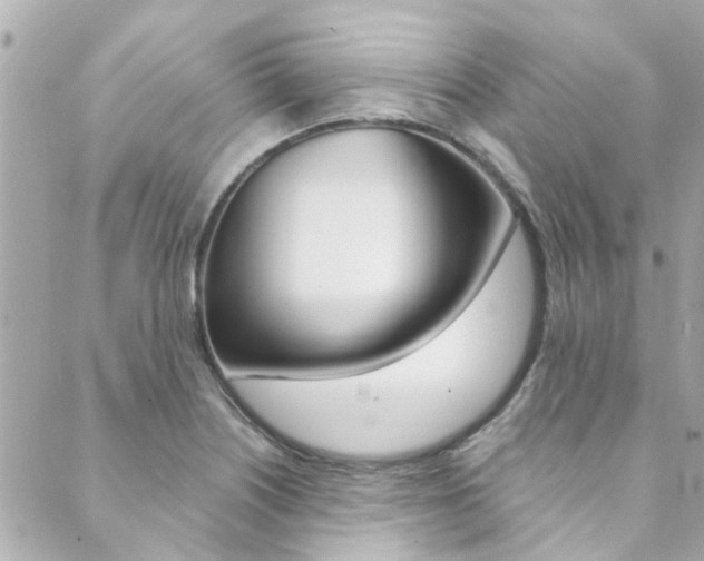 X0000089921226200706290746