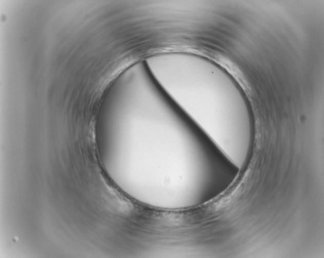 X0000089921241200706290746