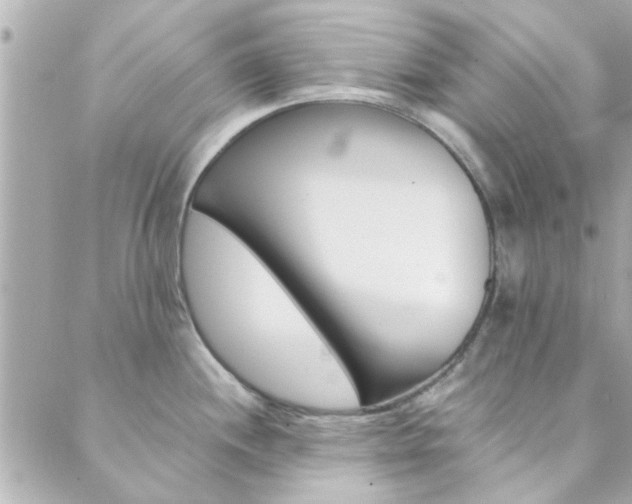 X0000089921244200706290746