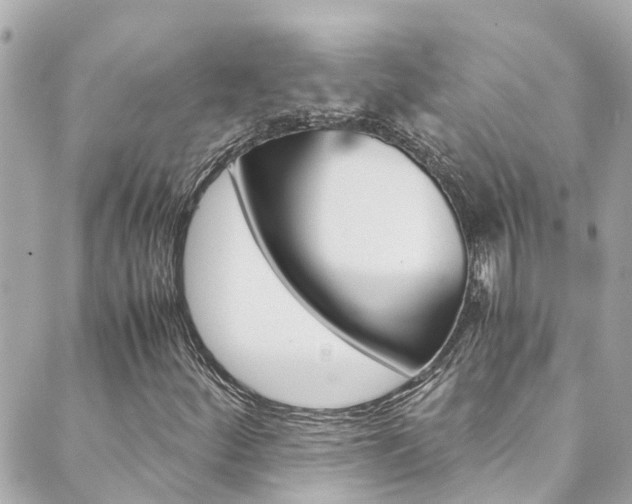 X0000089921252200706290745