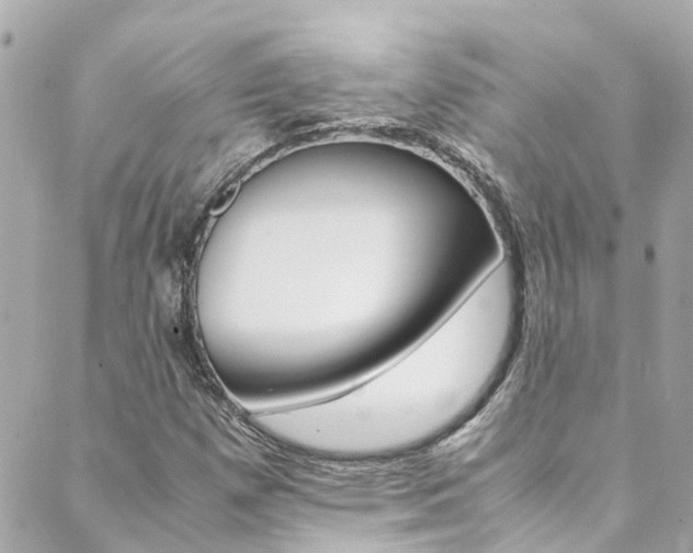 X0000089921257200706290745
