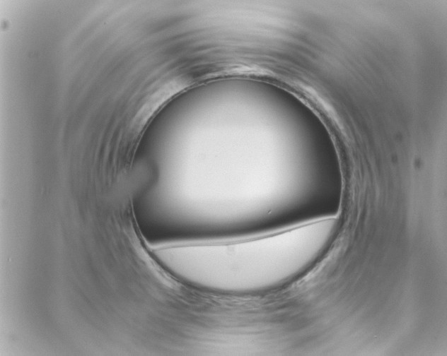 X0000089921281200706290745