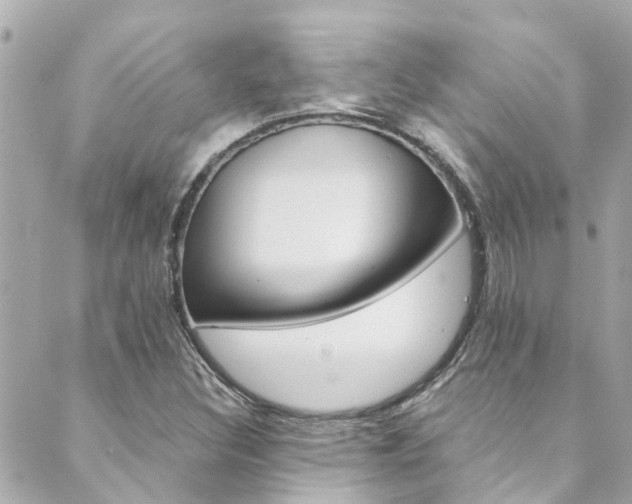 X0000089921308200706290744