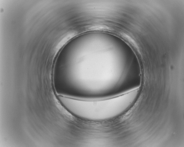 X0000089921330200706290744