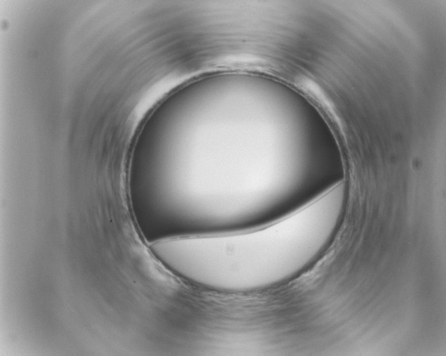 X0000089921336200706290745