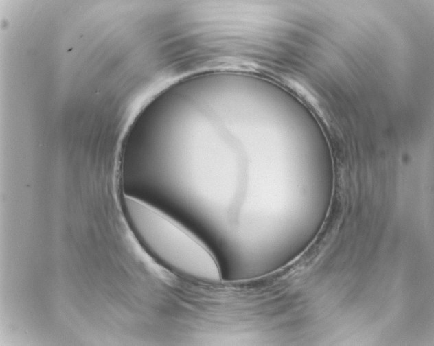 X0000089921379200706290743