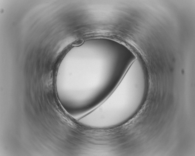 X0000089921450200706290742