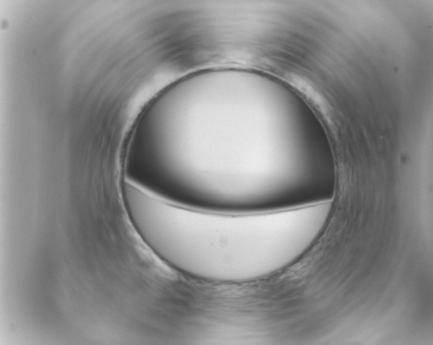 X0000089921480200706290742