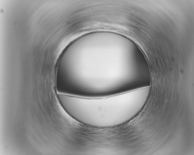 X0000089921531200706290741