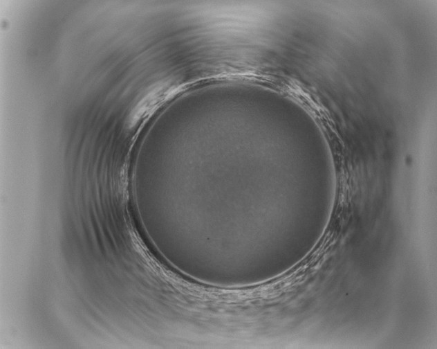 X0000089920002200706291141