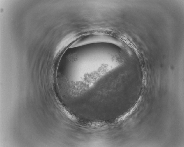 X0000089920101200706291139