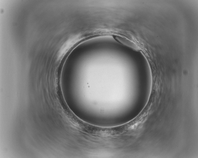 X0000089920103200706291139