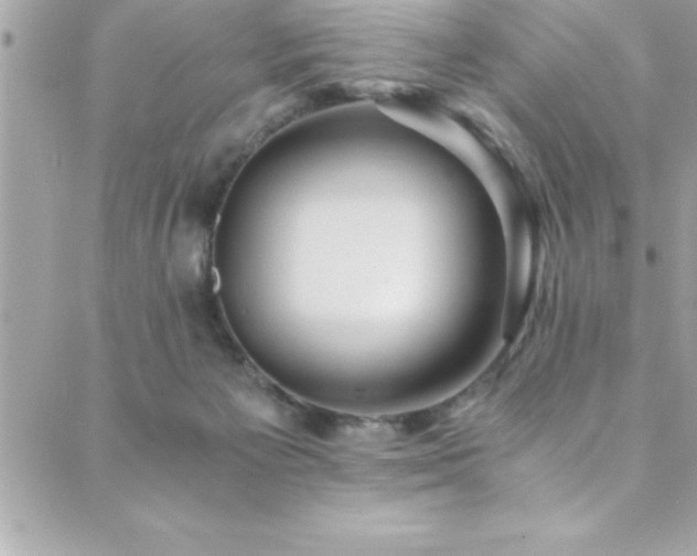 X0000089920125200706291139