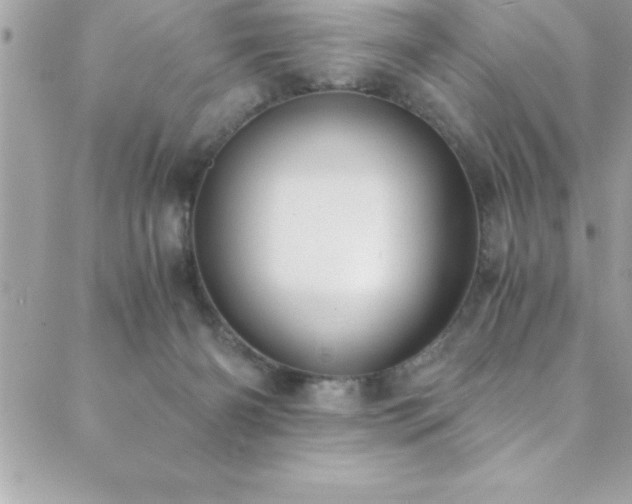 X0000089920126200706291139