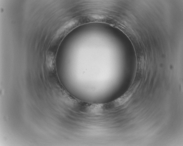 X0000089920138200706291139