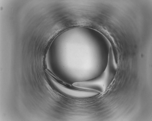 X0000089920154200706291138