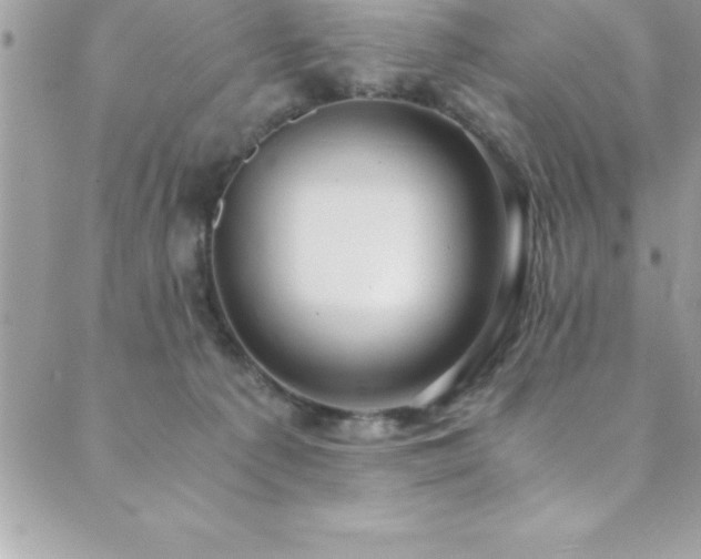 X0000089920225200706291137