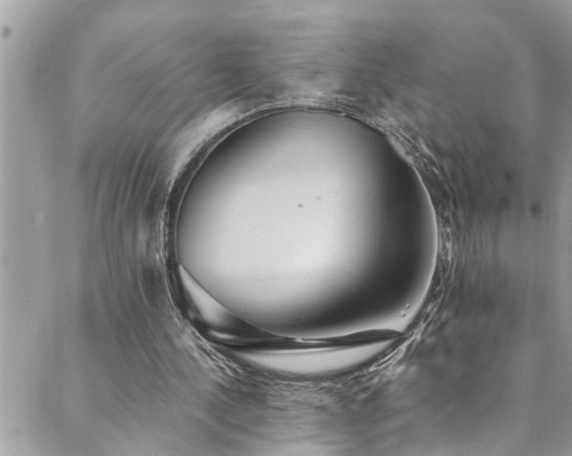X0000089920244200706291136