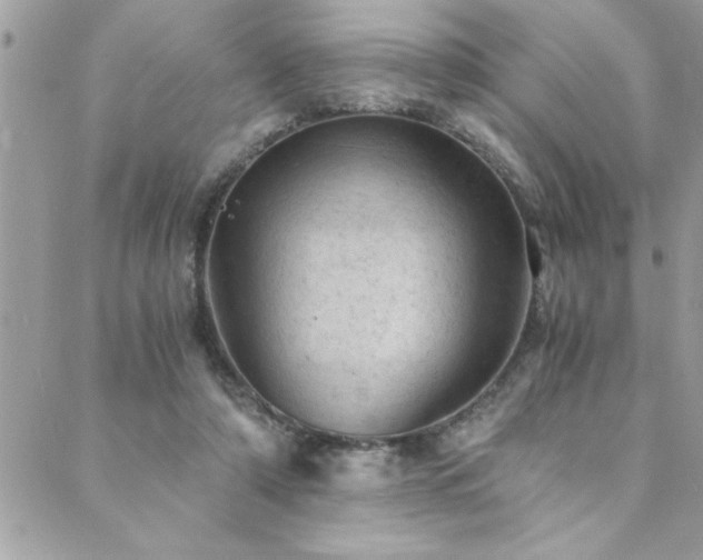 X0000089920306200706291136