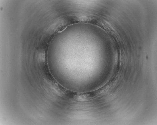 X0000089920368200706291135