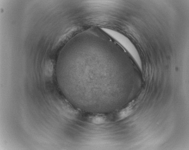 X0000089920412200706291134