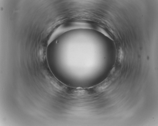X0000089920428200706291134