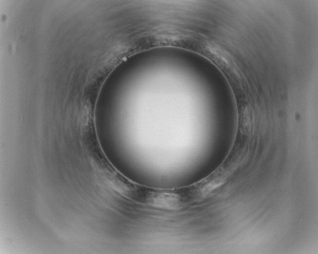 X0000089920463200706291133