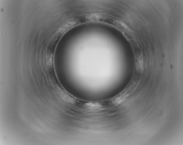 X0000089920477200706291133
