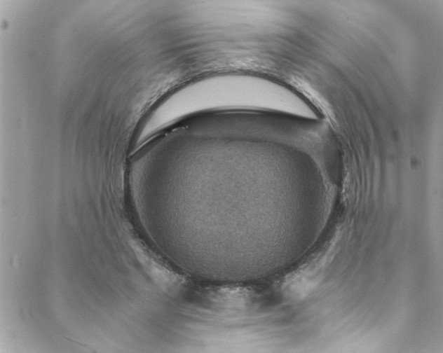 X0000089920493200706291132