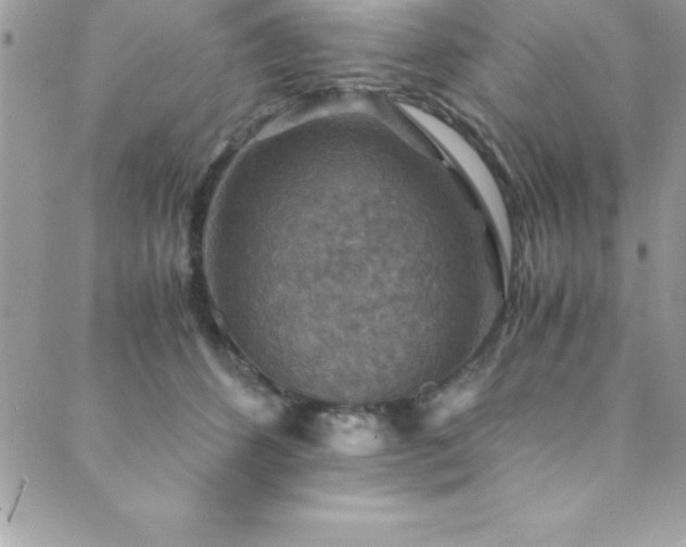X0000089920512200706291132