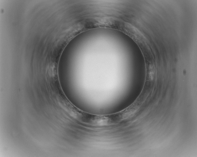 X0000089920514200706291132