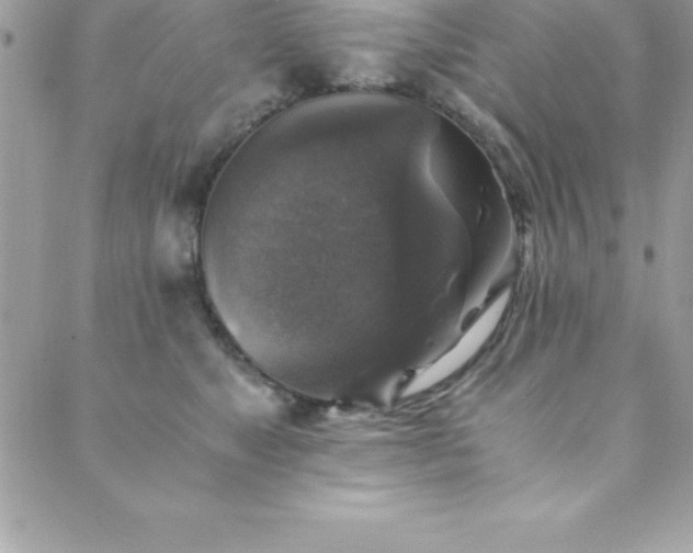 X0000089920517200706291132