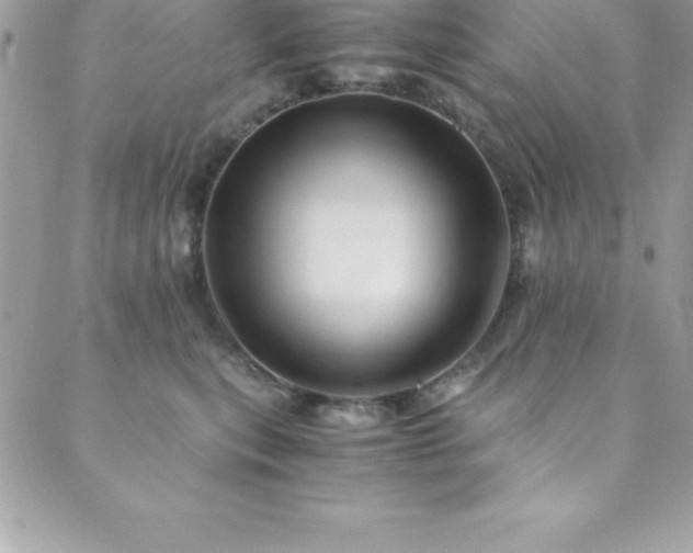X0000089920567200706291132