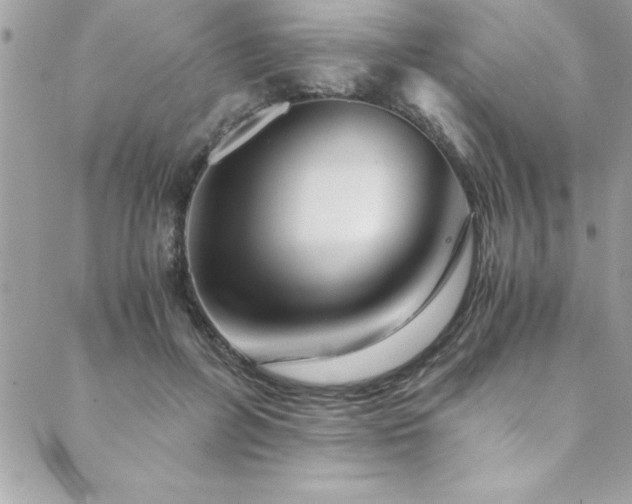 X0000089920600200706291131