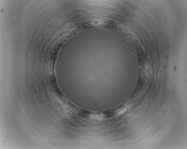 X0000089920606200706291131
