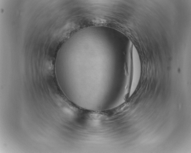 X0000089920614200706291130
