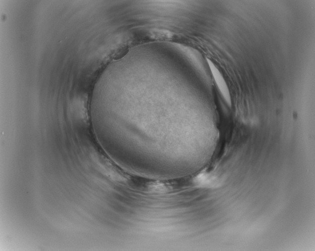 X0000089920616200706291130