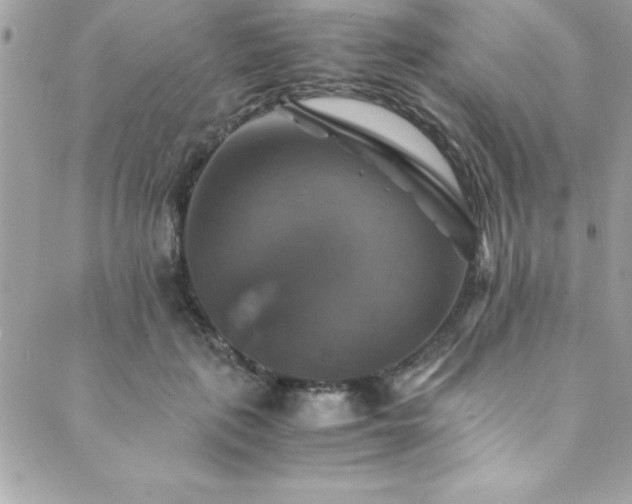 X0000089920651200706291130