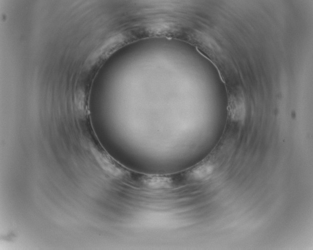 X0000089920670200706291130
