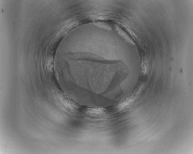 X0000089920671200706291130